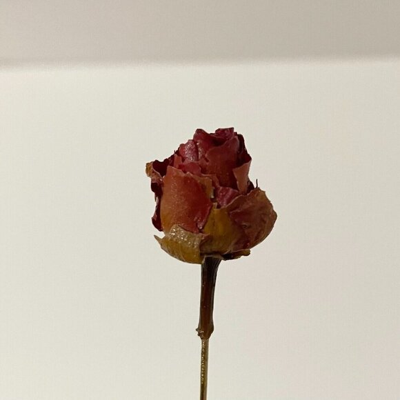 Vintage Dried Rose Bud Lapel Stick Pin - Picture 13 of 13